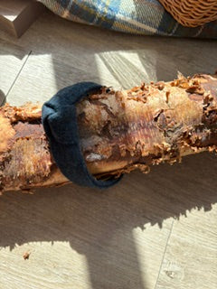 Latham & Taylor Head Band